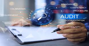 Auditor Services